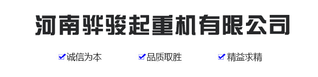 河南骅骏起重机有限公司